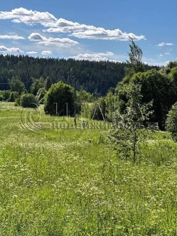 Участок в Ленинградская область, Выборгский район, Каменногорское ... - Фото 1