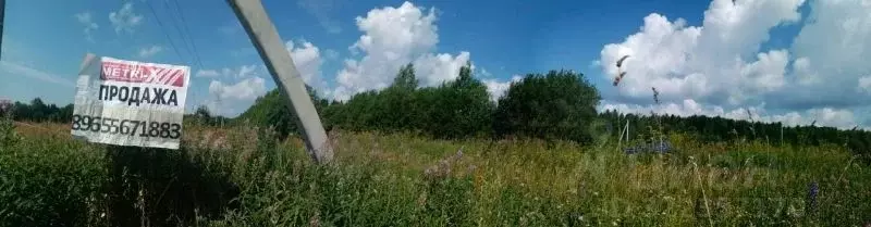 Участок в Пермский край, Пермский муниципальный округ, Хохловские ... - Фото 0