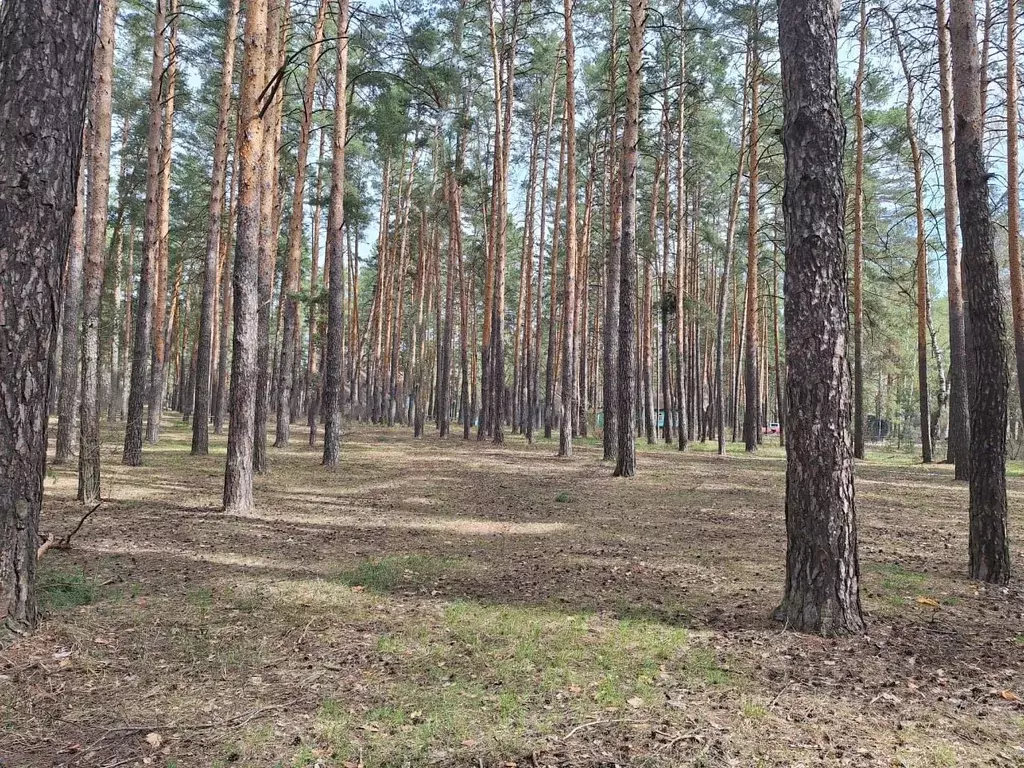 Участок в Тамбовская область, Тамбов Рассказовское ш., 9 (8.1 сот.) - Фото 1