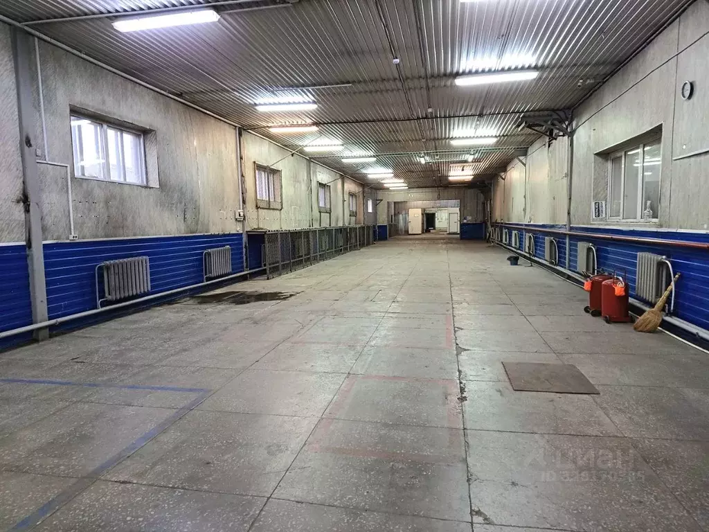 Склад в Пермский край, Пермский муниципальный округ, с. Фролы ул. ... - Фото 1