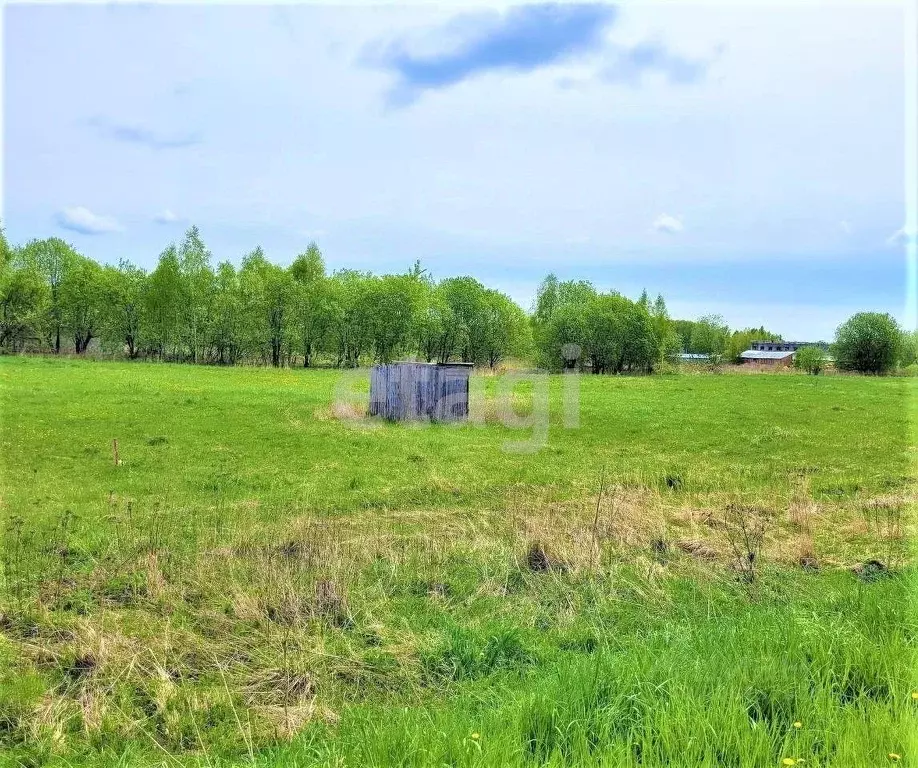 Участок в Брянская область, Брянский район, Добрунское с/пос, с. ... - Фото 1