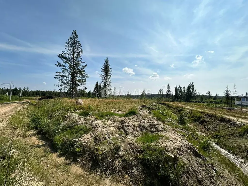 Участок в Ленинградская область, Всеволожский район, Агалатовское ... - Фото 1