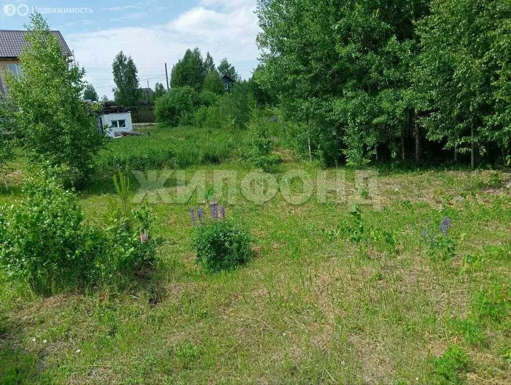 Участок в Барышевский сельсовет (10 м) - Фото 0