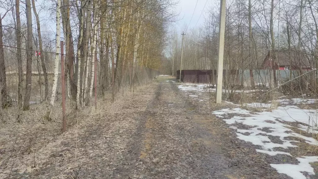 Участок 10 сот. (СНТ, ДНП) - Фото 0