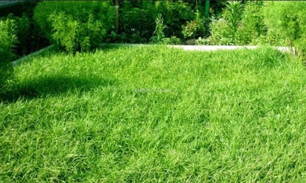 Участок в Московская область, Красногорск городской округ, д. ... - Фото 1