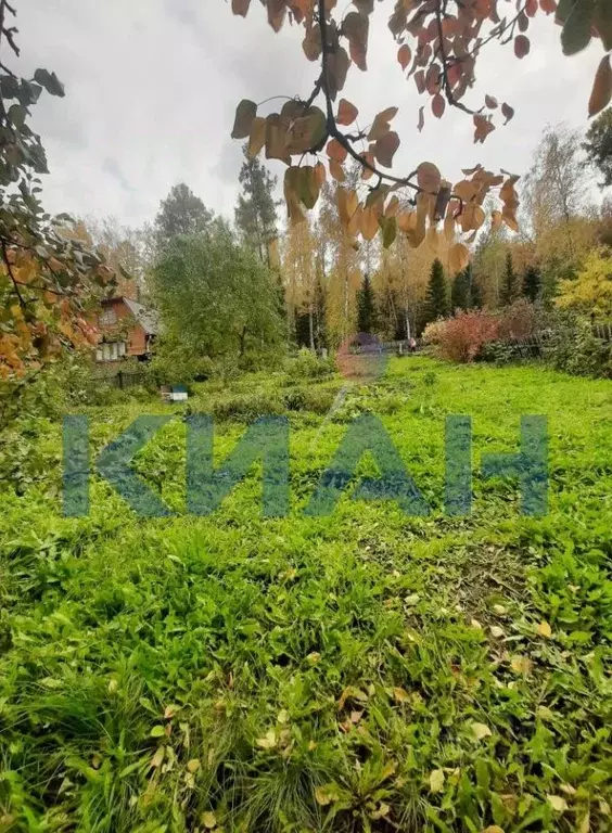 Участок в Красноярский край, Красноярск Ручеек садовое товарищество, ... - Фото 1