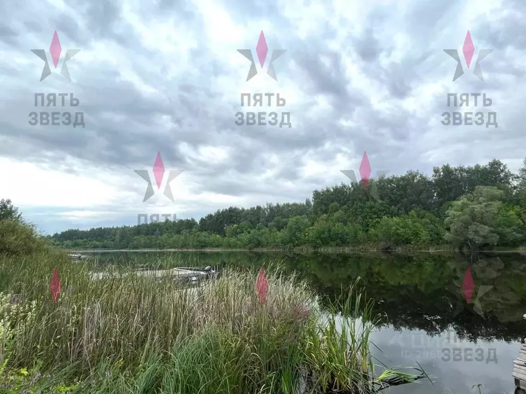 Участок в Самарская область, Безенчукский район, Екатериновка с/пос, ... - Фото 2