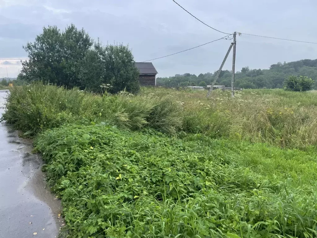 Участок в Владимирская область, Александровский муниципальный округ, ... - Фото 2