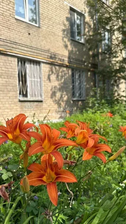2-к кв. Челябинская область, Челябинск ул. Трубников, 33 (59.5 м) - Фото 0