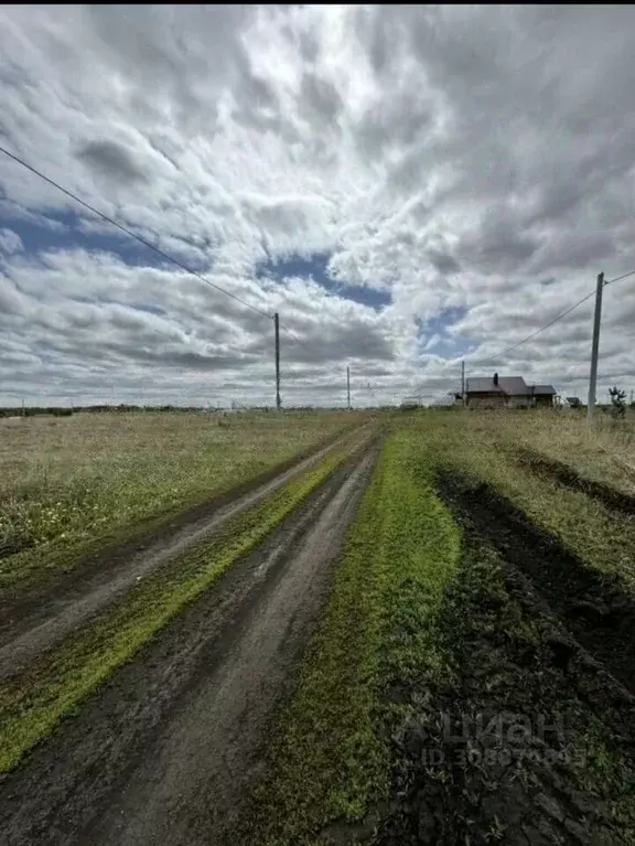 Участок в Татарстан, Тукаевский район, с. Биклянь ул. Энтузиастов ... - Фото 0