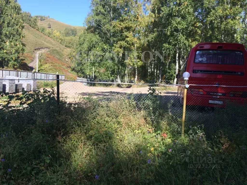 Участок в Алтайский край, Алтайский район, с. Алтайское  (10.0 сот.) - Фото 2
