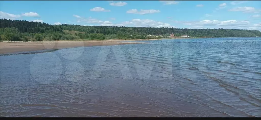Участок 19,7 сот. (СНТ, ДНП) - Фото 0