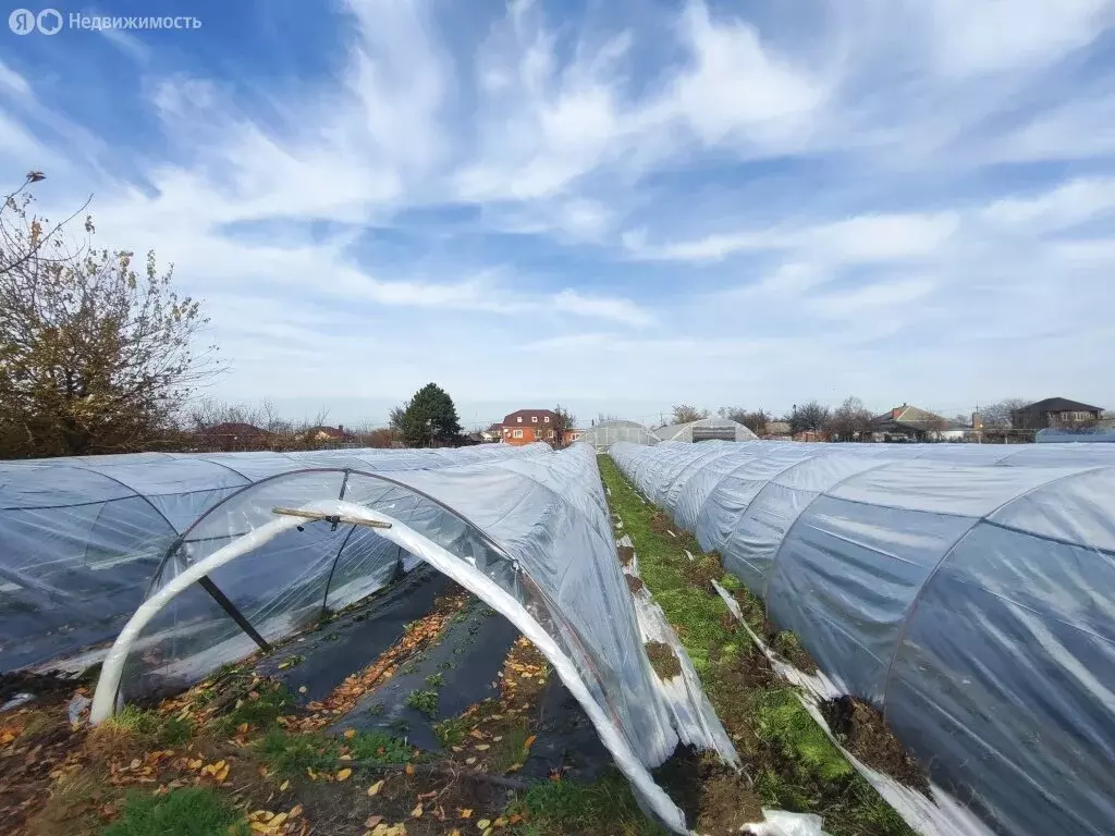 Участок в станица Платнировская, улица Карла Маркса, 120 (23.23 м) - Фото 1