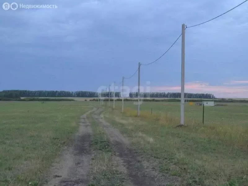 Участок в Стерлитамакский район, Айгулевский сельсовет, село ... - Фото 1