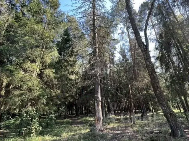Купить Участок В Звенигороде Одинцовского