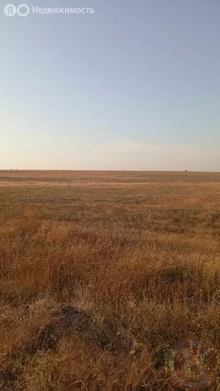 Участок в Раздольное, Аэродромная улица, 114 (4 м) - Фото 0