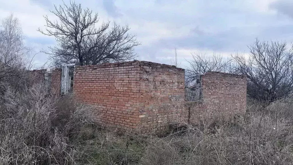 Участок в Ростовская область, Октябрьский район, Бессергеневское ... - Фото 1