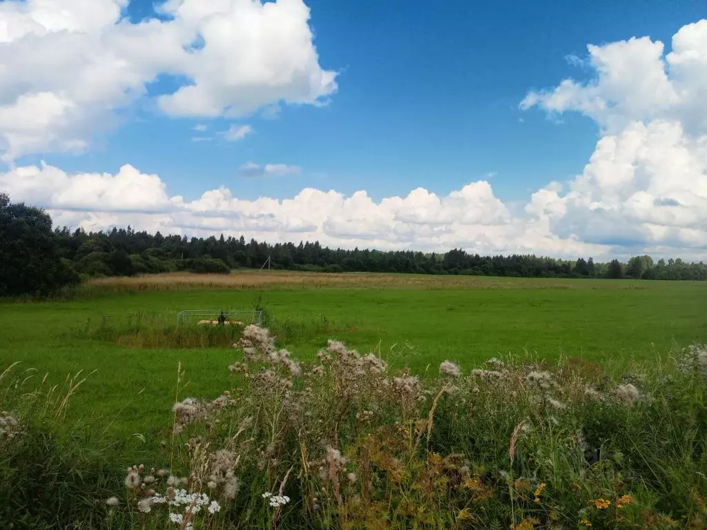 Участок в Смоленская область, Смоленский муниципальный округ, д. Фролы ... - Фото 2