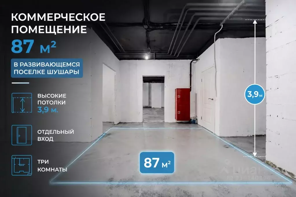 Помещение свободного назначения в Санкт-Петербург пос. Шушары, просп. ... - Фото 2