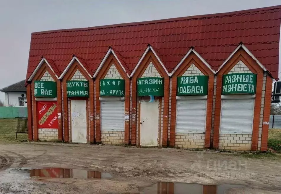 Помещение свободного назначения в Брянская область, Стародубский ... - Фото 2