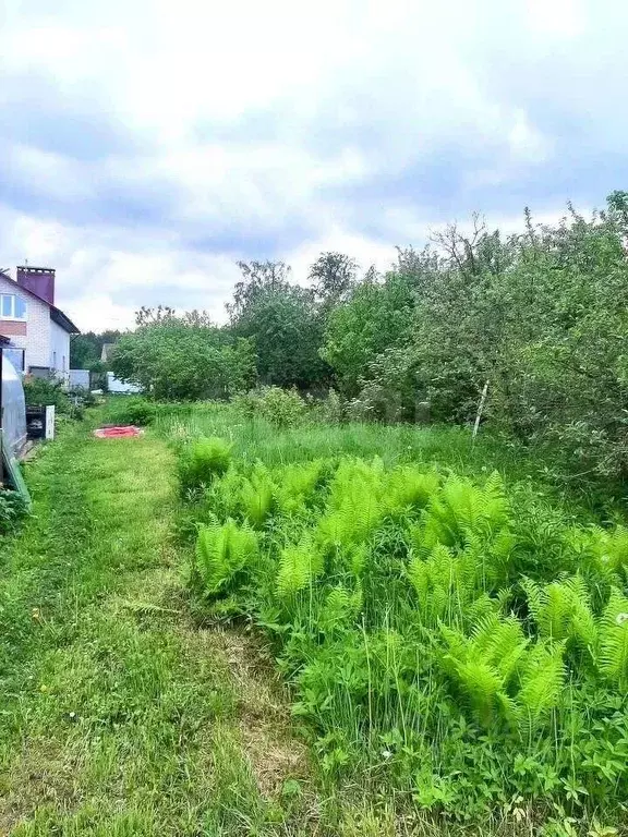 Участок в Костромская область, Кострома Заря Коммунизма садоводческое ... - Фото 1