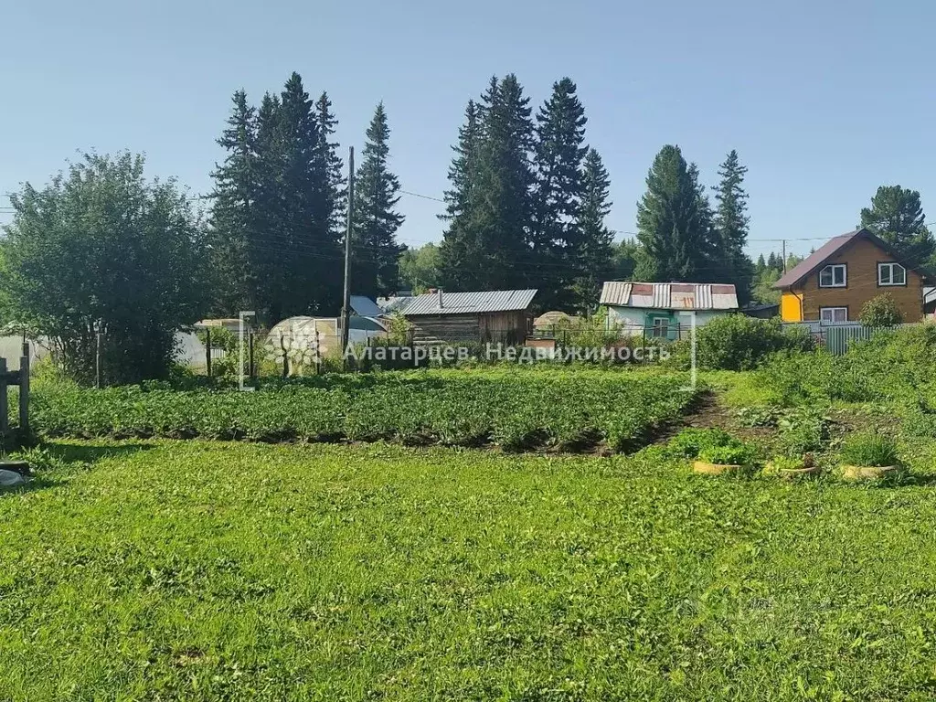 Участок в Томская область, Томск Роботрон садовое товарищество, 306 ... - Фото 2