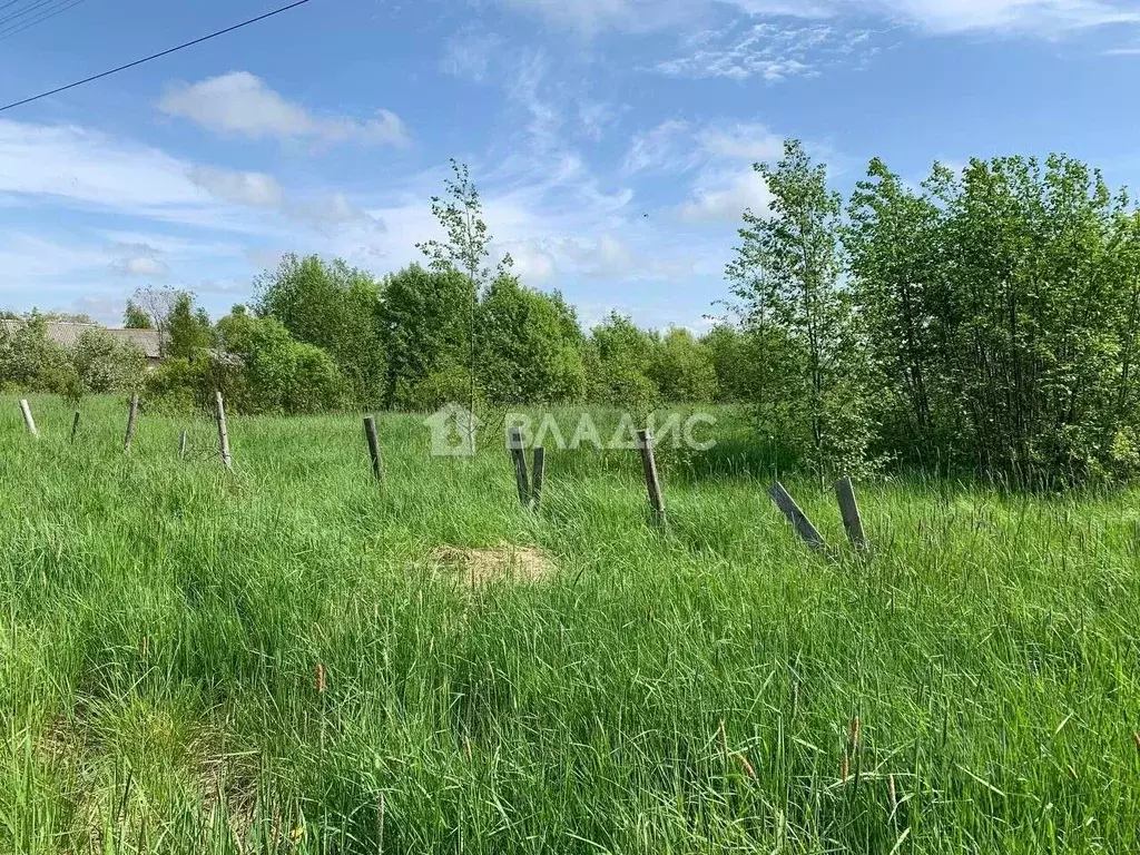 Участок в Карелия, Олонецкое городское поселение, д. Капшойла  (33.0 ... - Фото 0