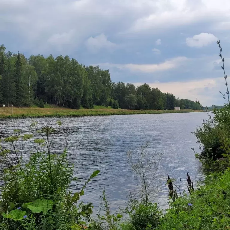 Участок в Московская область, Талдомский городской округ, Запрудня рп  ... - Фото 1