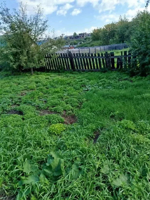 Участок в Красноярский край, Красноярск городской округ, Березовка ... - Фото 1
