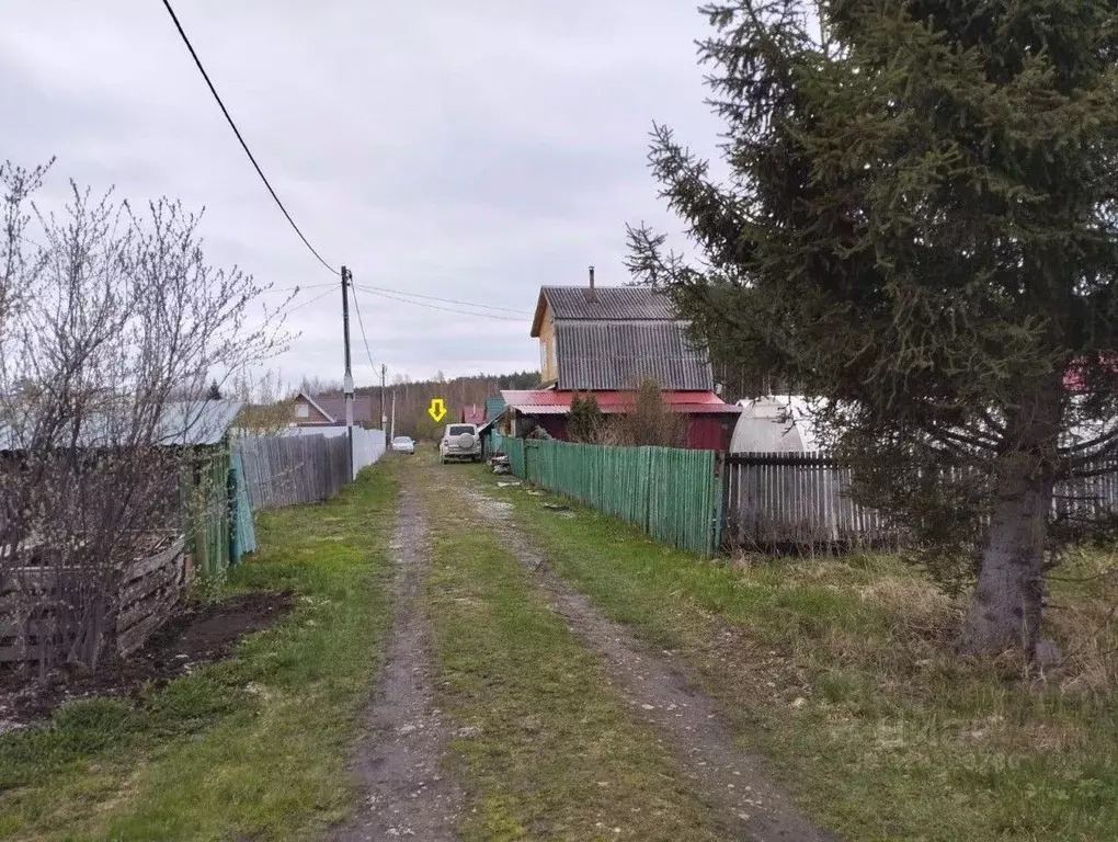 Участок в Свердловская область, Екатеринбург Приисковый - Керамик СНТ, ... - Фото 2