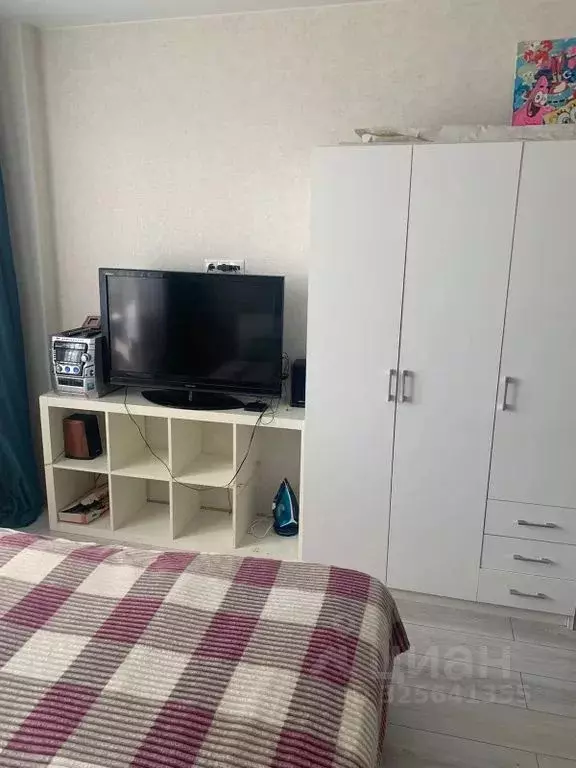 Студия Московская область, Солнечногорск городской округ, Голубое пгт ... - Фото 2