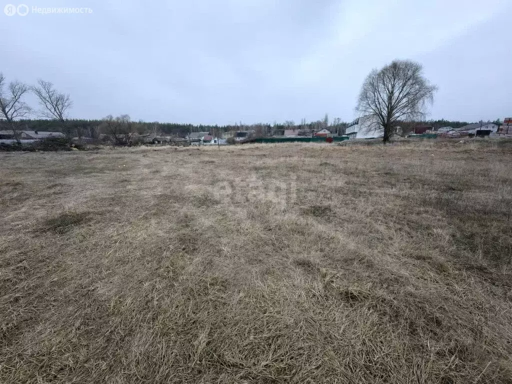 Участок в село Александровка, Васильковая улица (9 м) - Фото 1