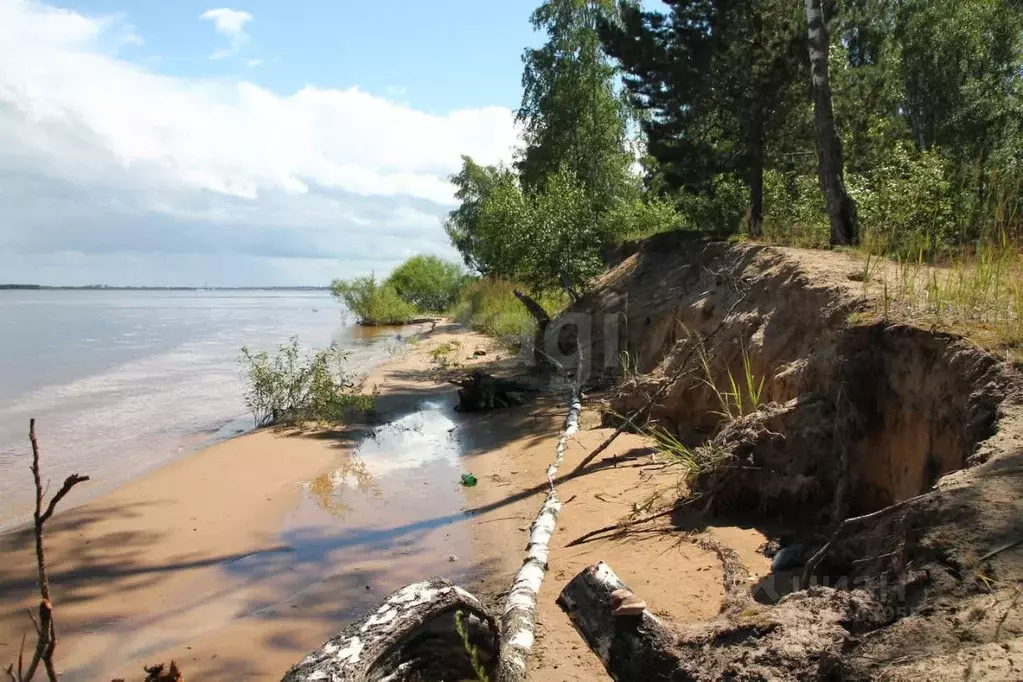 Участок в Ярославская область, Рыбинский муниципальный округ, д. ... - Фото 1
