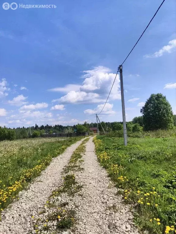 Участок в Волосовский район, Большеврудское сельское поселение, ... - Фото 1