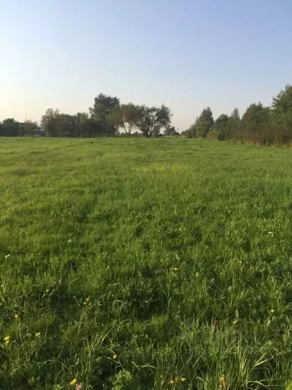 Участок в Ярославская область, Переславль-Залесский городской округ, ... - Фото 0