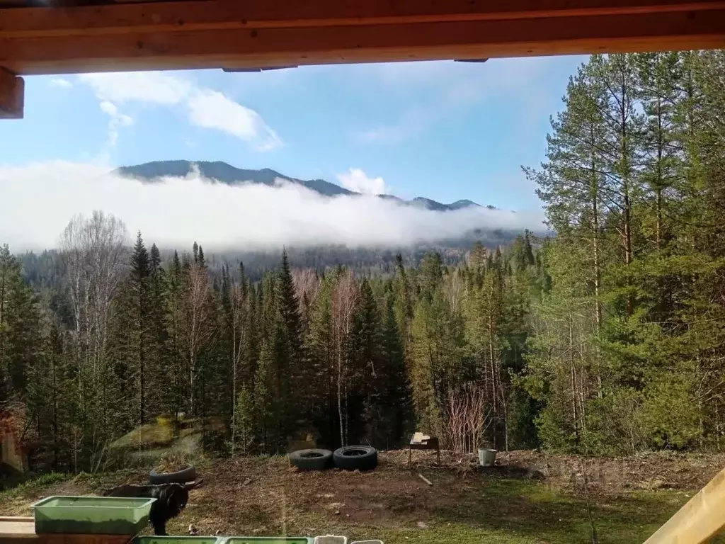 Участок в Алтай, Чойский район, Паспаульское с/пос  (1.3 сот.) - Фото 2