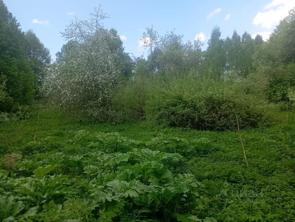 Участок в Московская область, Талдомский городской округ, д. Бакшеиха  ... - Фото 1