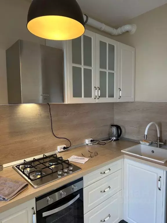 1-к кв. Псковская область, Псковский район, Завеличенская волость, д. ... - Фото 1