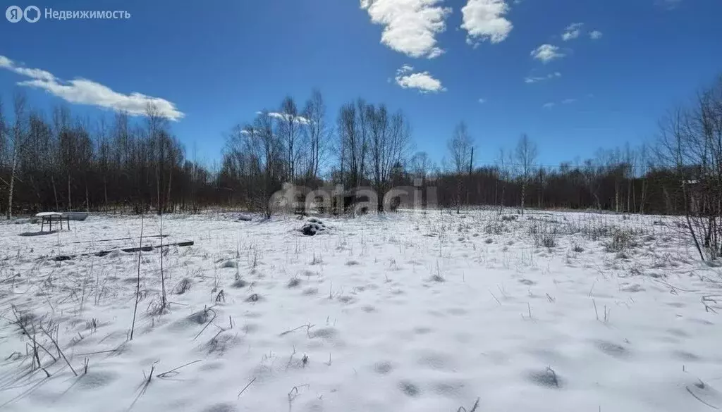 Участок в Камчатский край, Елизовский муниципальный округ, СНТ ... - Фото 2
