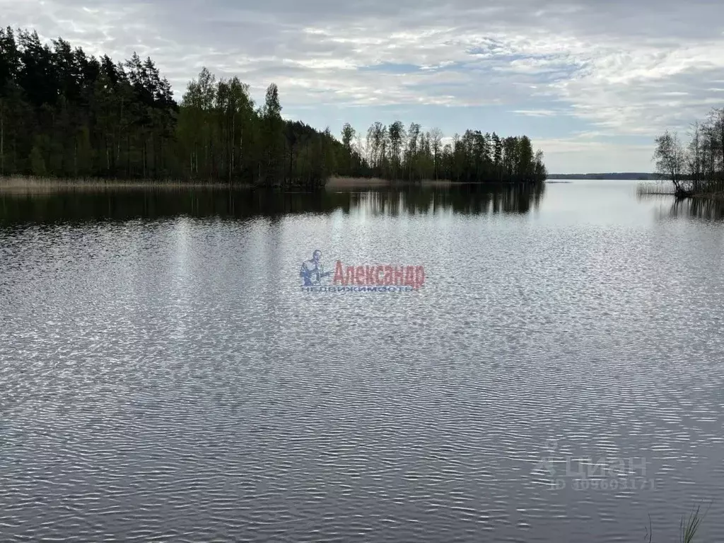 Участок в Ленинградская область, Приозерский район, Плодовское с/пос, ... - Фото 0