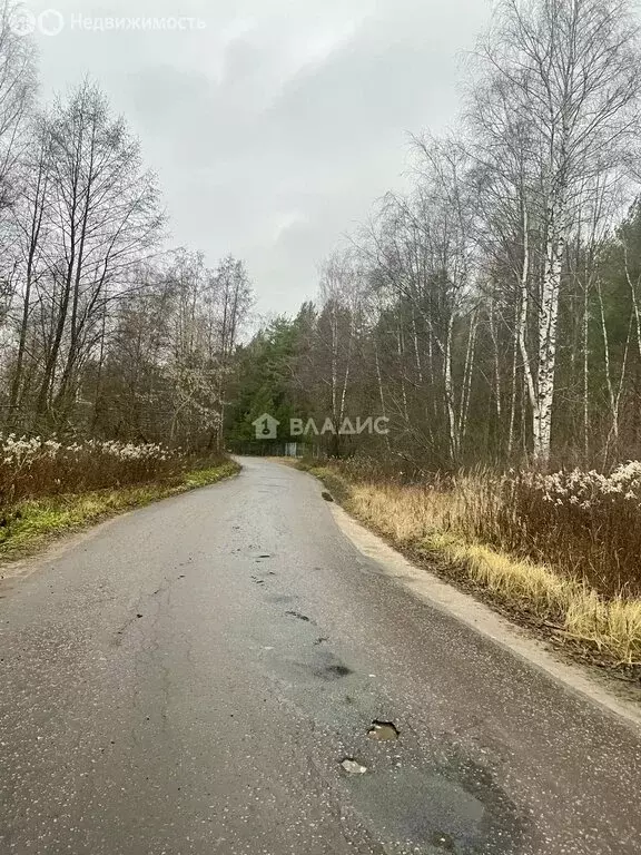 Участок в Петушинский район, муниципальное образование Городищи, ... - Фото 1