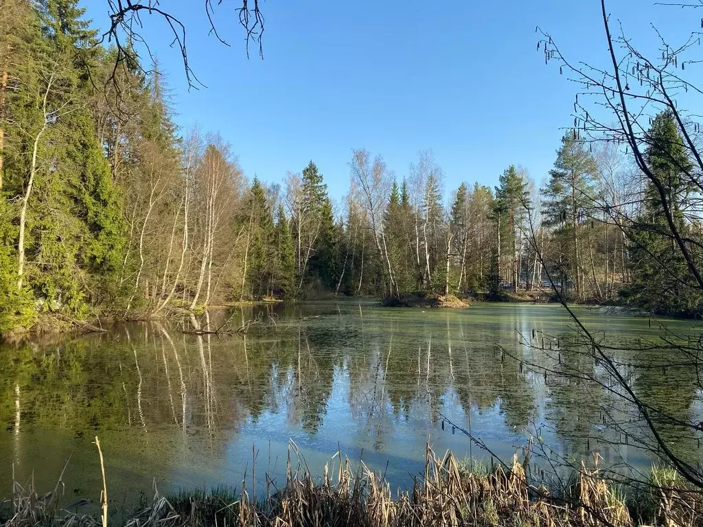 Дом в Московская область, Солнечногорск городской округ, пос. ... - Фото 0