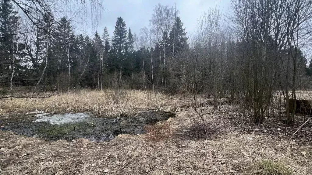 Участок в Московская область, Истра муниципальный округ, д. Часовня  ... - Фото 0