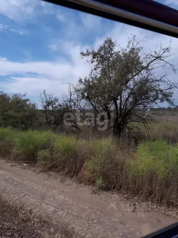 Участок в Астраханская область, Астрахань пос. Свободный,  (6.8 сот.) - Фото 1