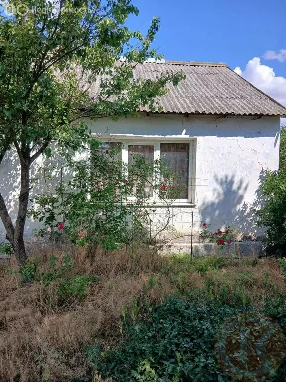 Дом в Пятихатка, улица Гагарина, 26 (52 м) - Фото 1