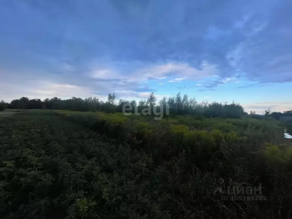 Участок в Нижегородская область, Кстовский муниципальный округ, с. ... - Фото 0