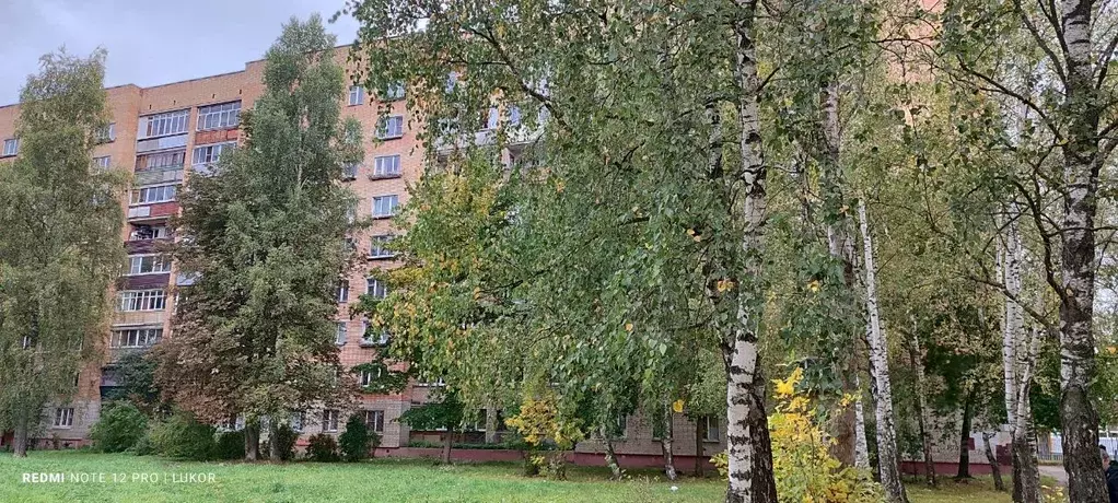 1-к кв. Московская область, Фрязино просп. Мира, 3 (32.3 м) - Фото 0