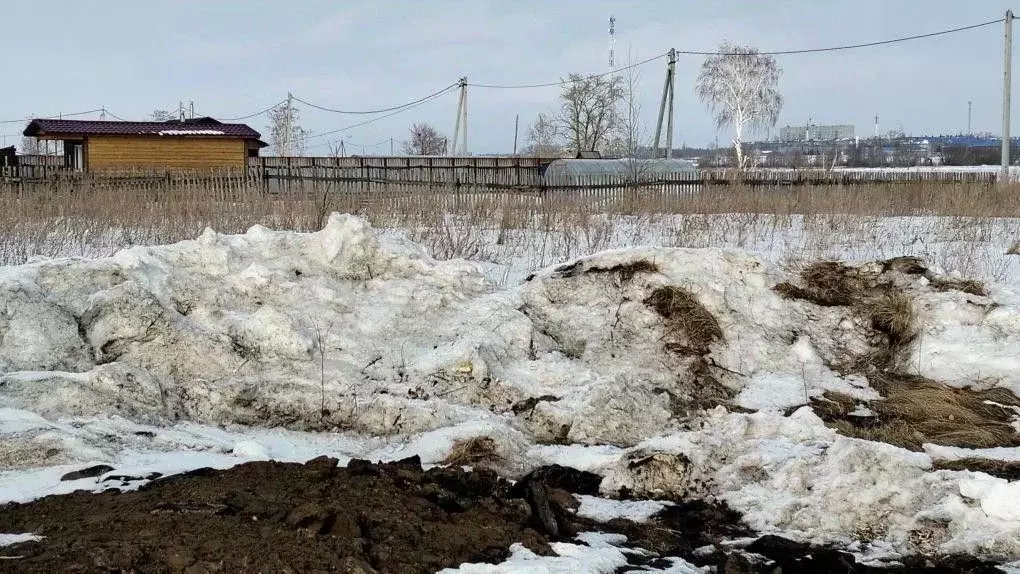 Участок в Омская область, Омский район муниципальный округ, с. Харино ... - Фото 2