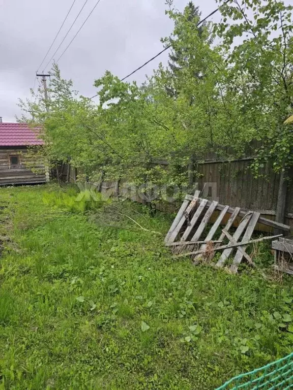 Участок в Архангельская область, Приморский муниципальный округ, ... - Фото 1