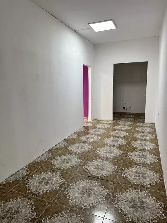 Помещение свободного назначения в Краснодарский край, Сочи Новый Сочи ... - Фото 2